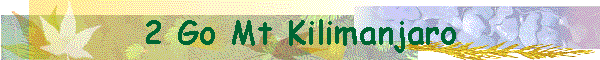 2 Go Mt Kilimanjaro