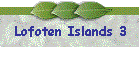 Lofoten Islands 3