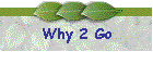 Why 2 Go